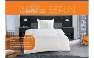 Angebot 251539