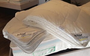 Angebot 252174
